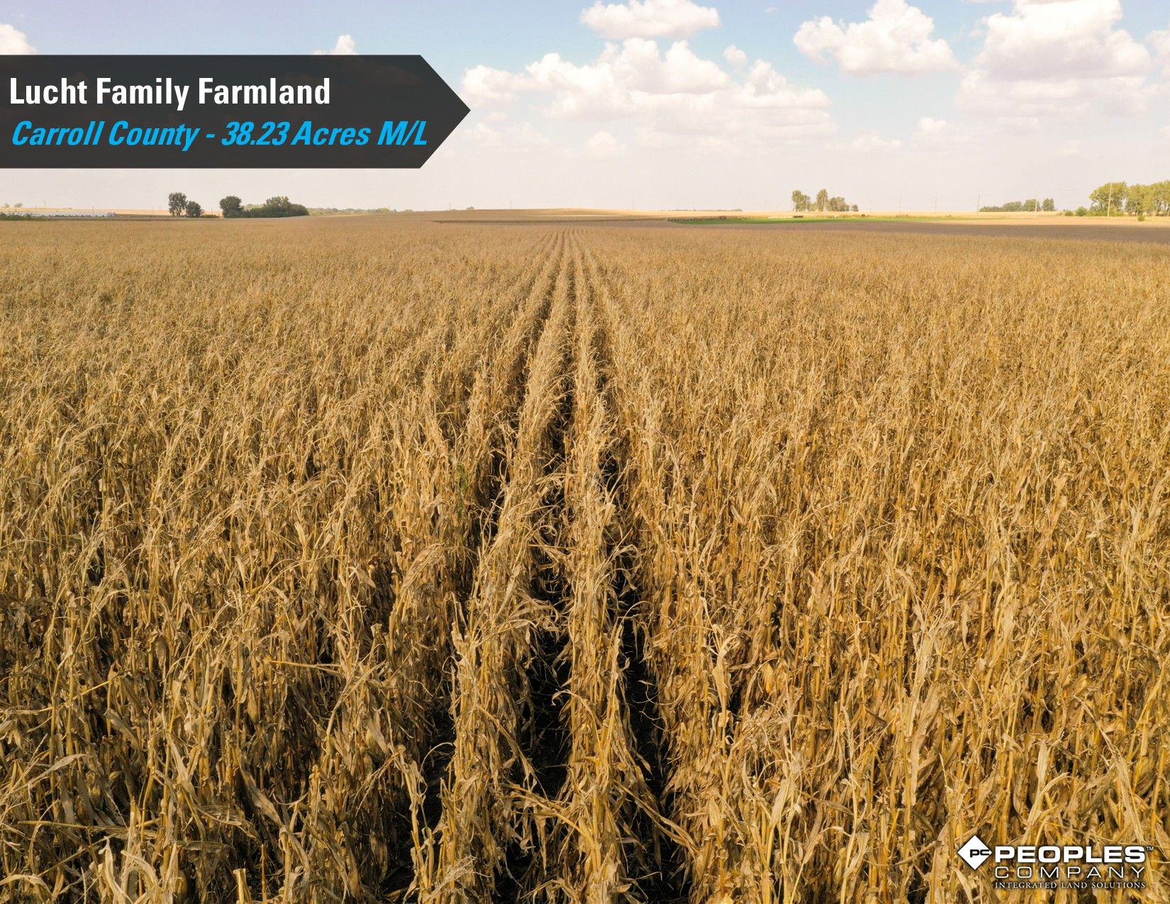 Listing Photo: Lucht-Family-Farmland-Auction-Online-Carroll-County-Iowa-38.23Acres (11)